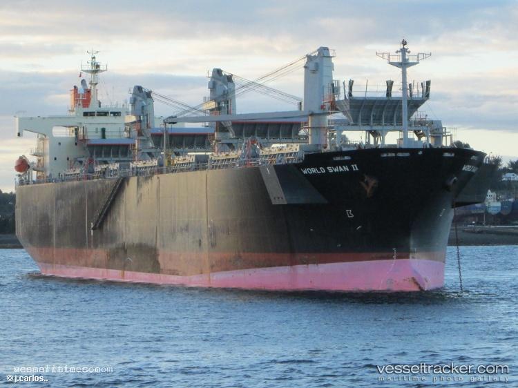 World-Swan-Ii - Wood Chips Carrier vessel registered in Japan