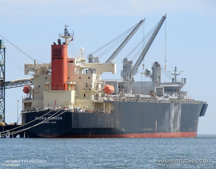 Flora-Pioneer - Wood Chips Carrier vessel registered in Japan