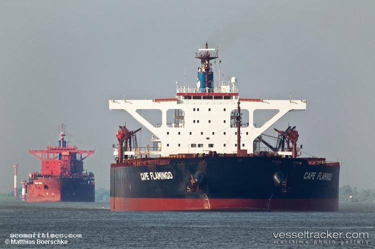 Cape-Zhongtuo - Bulk Carrier vessel registered in Singapore