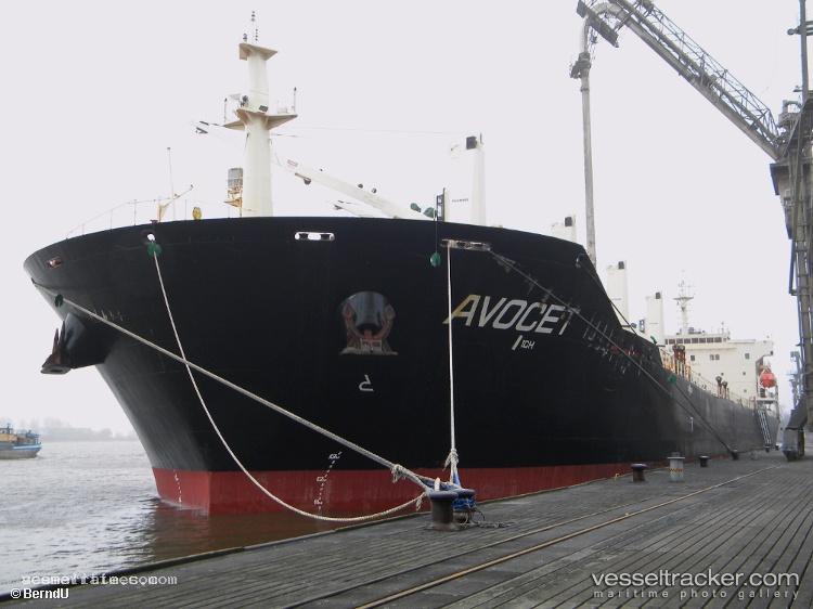 Lily-Ocean - Bulk Carrier vessel registered in Marshall Islands