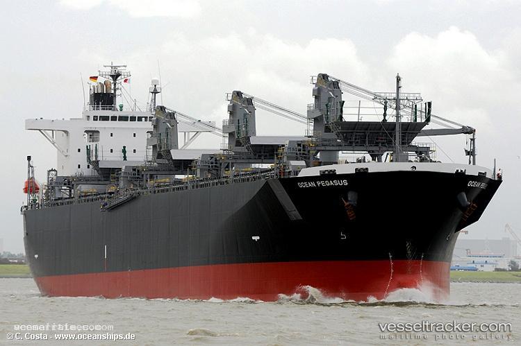 Ocean-Pegasus - Wood Chips Carrier vessel registered in Marshall Islands