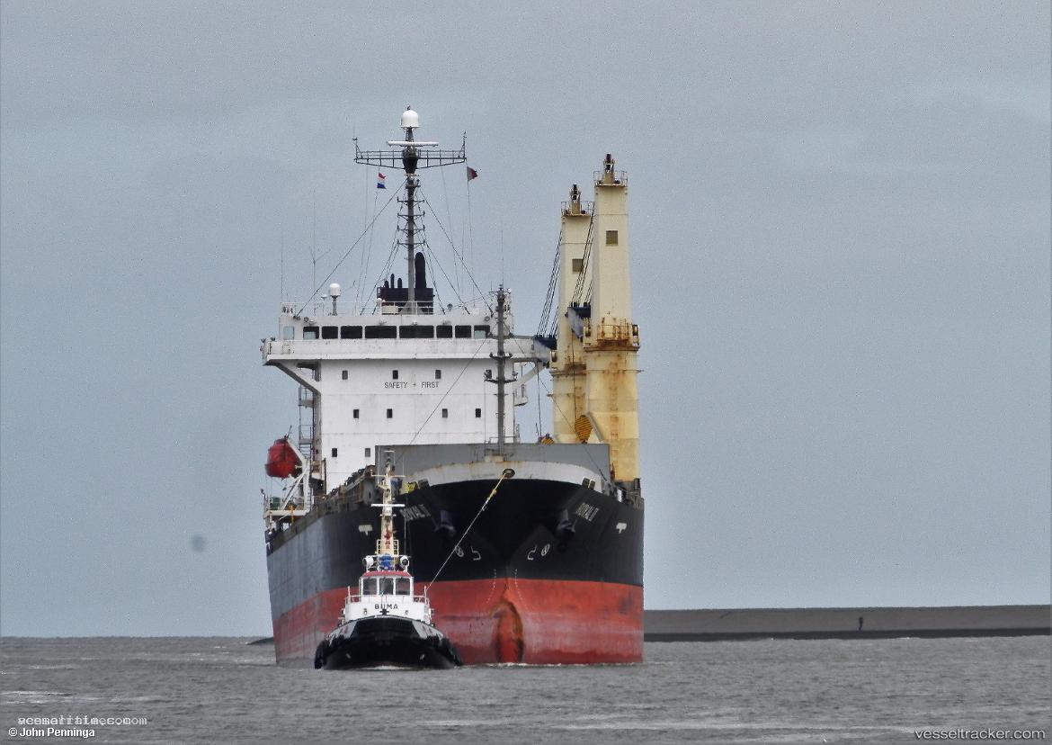 Royal-Ii - Deck Cargo Ship vessel registered in Panama