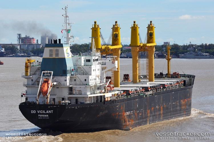 Dd-Vigilant - Bulk Carrier vessel registered in Panama