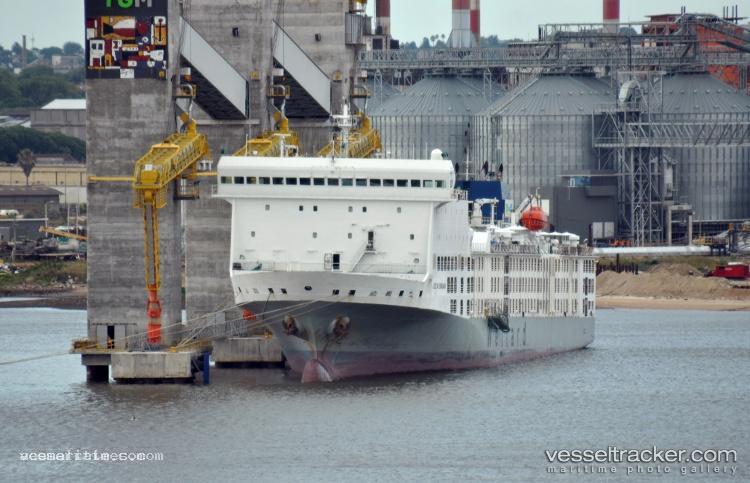 Ocean-Swagman - Livestock Carrier vessel registered in Singapore