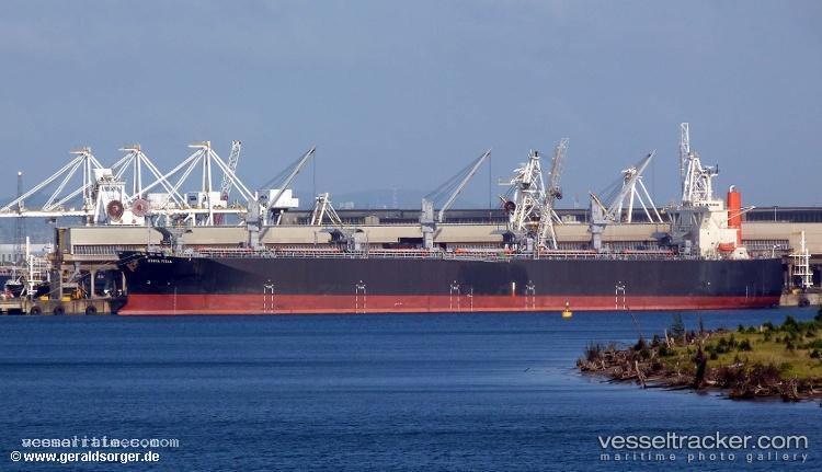 Strelitzia - Wood Chips Carrier vessel registered in Panama
