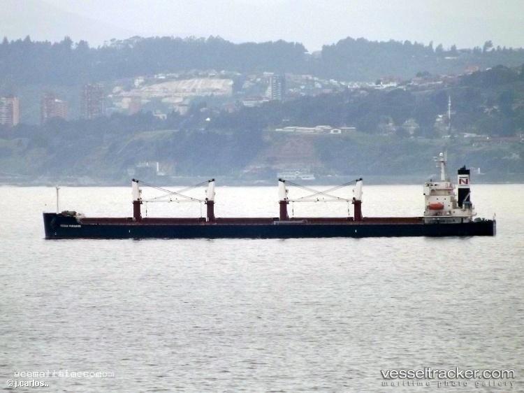 The-Loving - Bulk Carrier vessel registered in Panama