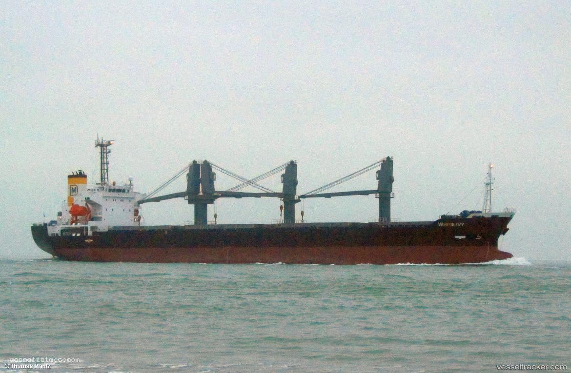White-Ivy - Bulk Carrier vessel registered in Panama