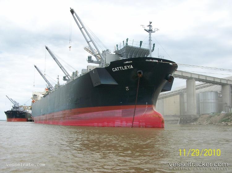 Cattleya - Wood Chips Carrier vessel registered in Panama