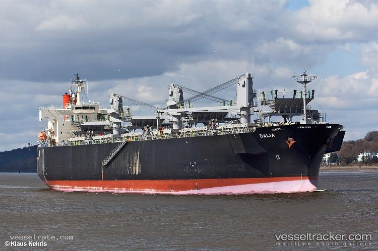 Bg-Brilliance - Wood Chips Carrier vessel registered in Singapore