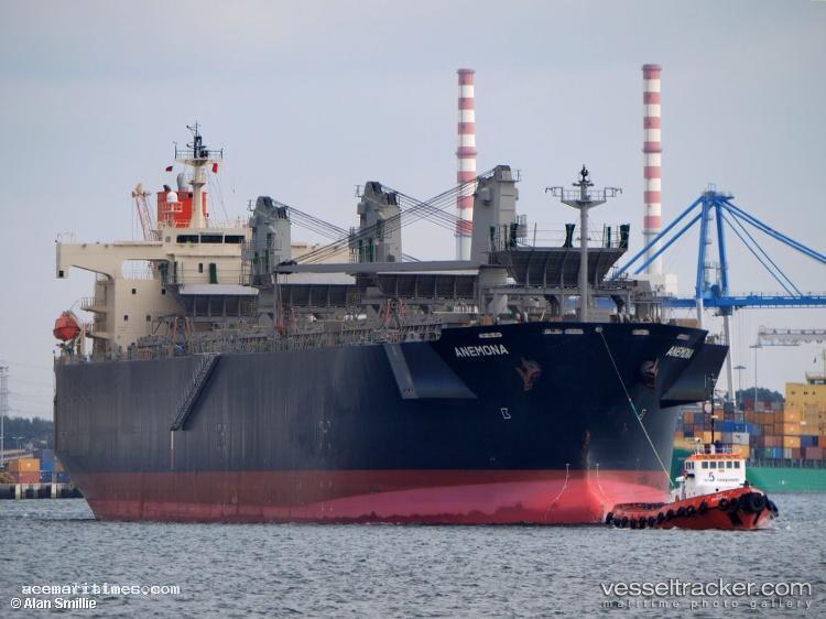 Anemona - Wood Chips Carrier vessel registered in Panama