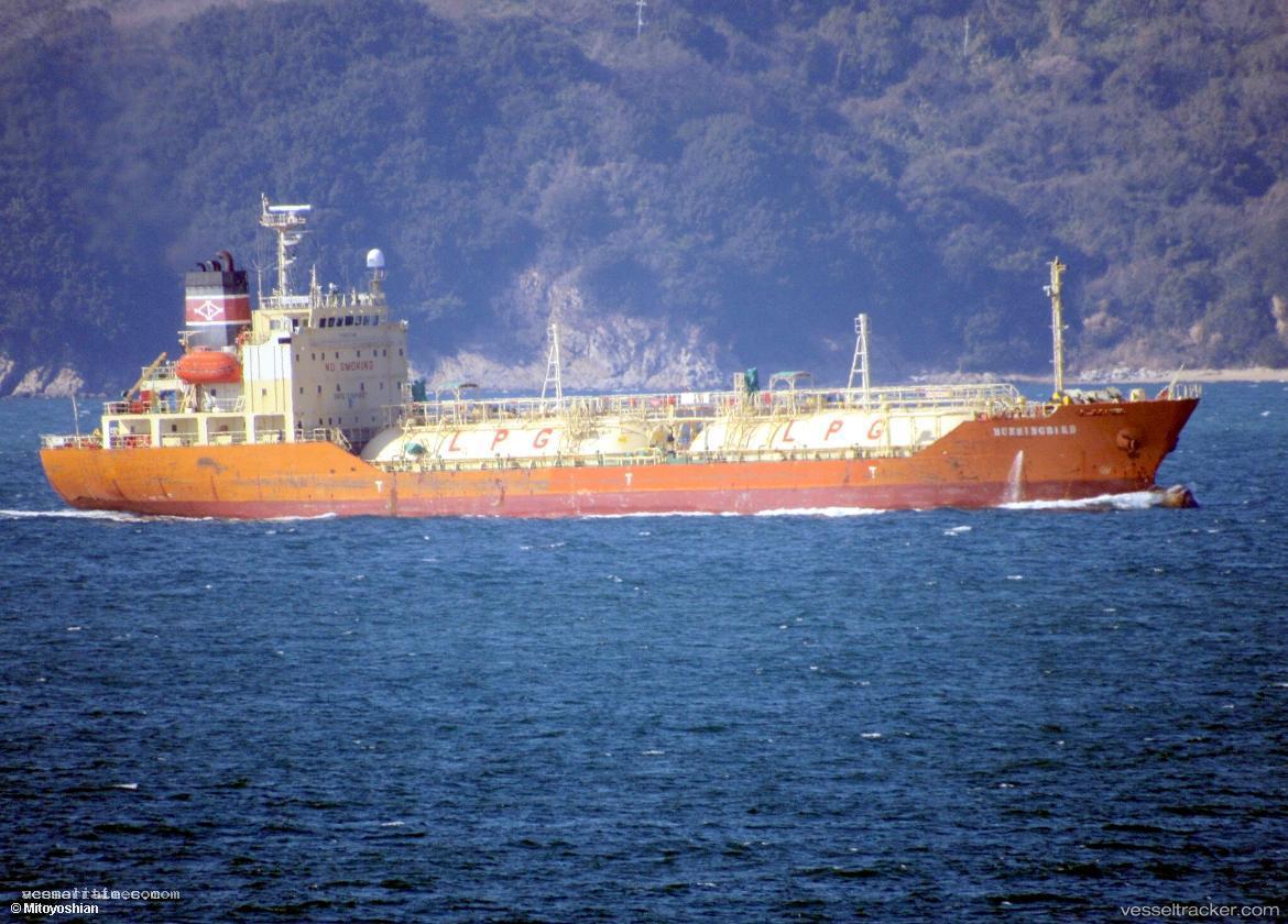 Hummingbird - Lpg Tanker vessel registered in Liberia
