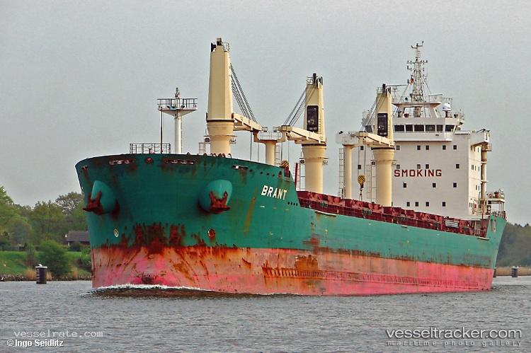 Brant - Bulk Carrier vessel registered in Cyprus