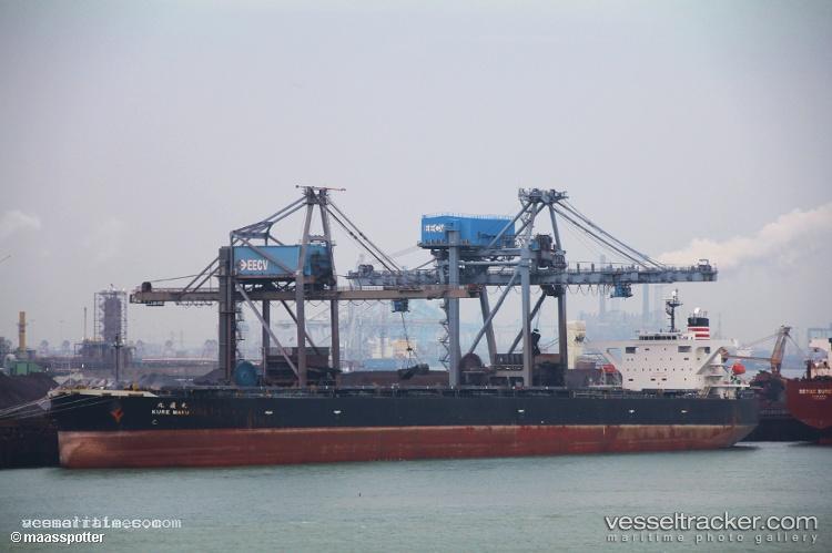 Moonlight-Dolphin - Bulk Carrier vessel registered in Japan