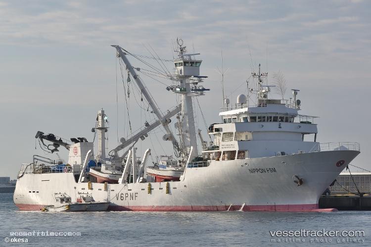 Viva-Bear-707 - Fishing Vessel vessel registered in Papua New Guinea