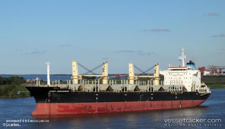 Cosco-Jinggangshan - Wood Chips Carrier vessel registered in Hong Kong