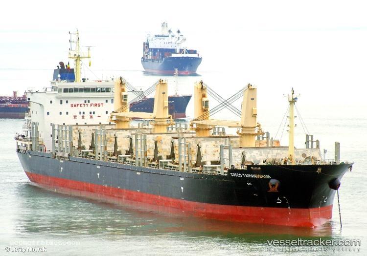 Cosco-Taihangshan - Wood Chips Carrier vessel registered in Hong Kong