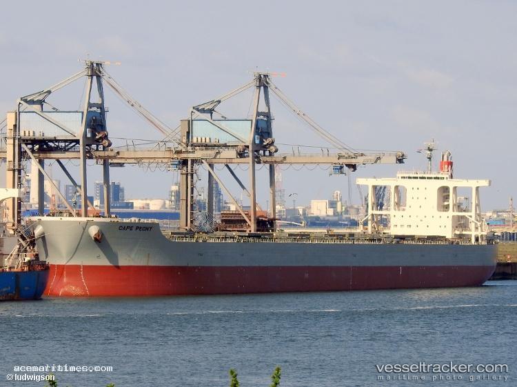 Cape-Peony - Bulk Carrier vessel registered in Panama