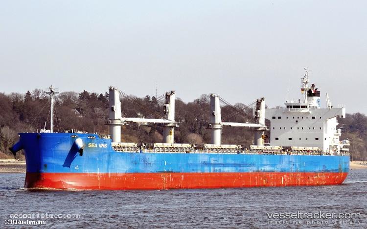 C-Lion - Bulk Carrier vessel registered in Panama