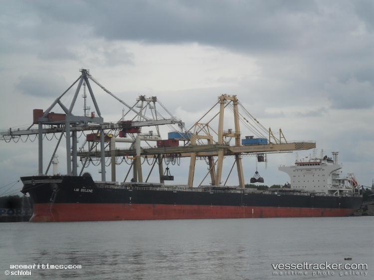 Araucano - Bulk Carrier vessel registered in Panama