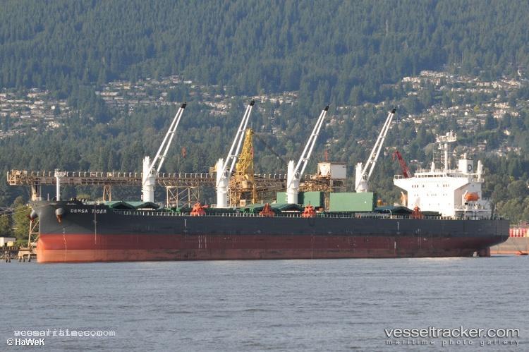 Densa-Tiger - Bulk Carrier vessel registered in Malta