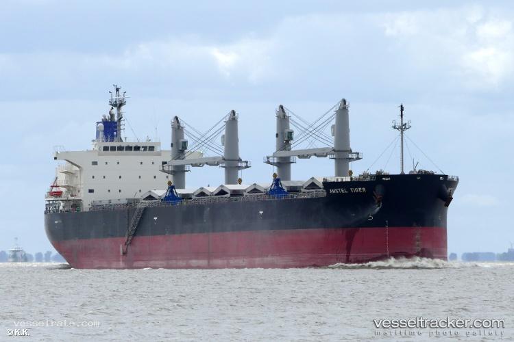 Amstel-Tiger - Bulk Carrier