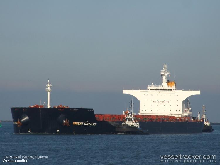 Orient-Cavalier - Bulk Carrier vessel registered in Cyprus