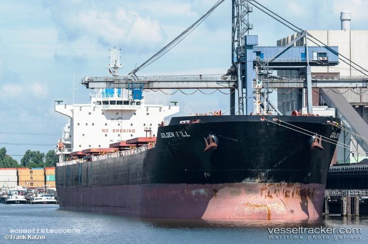 Ice-Bull - Bulk Carrier