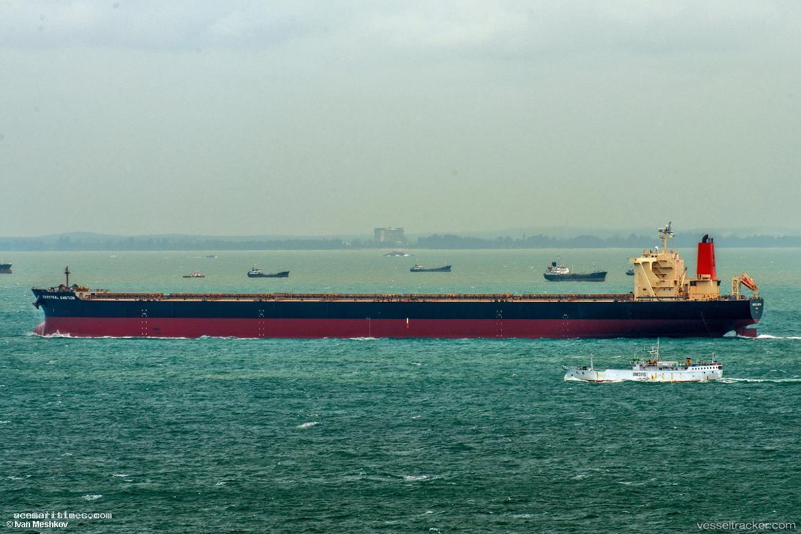 Baosteel-Emotion - Ore Carrier vessel registered in Japan
