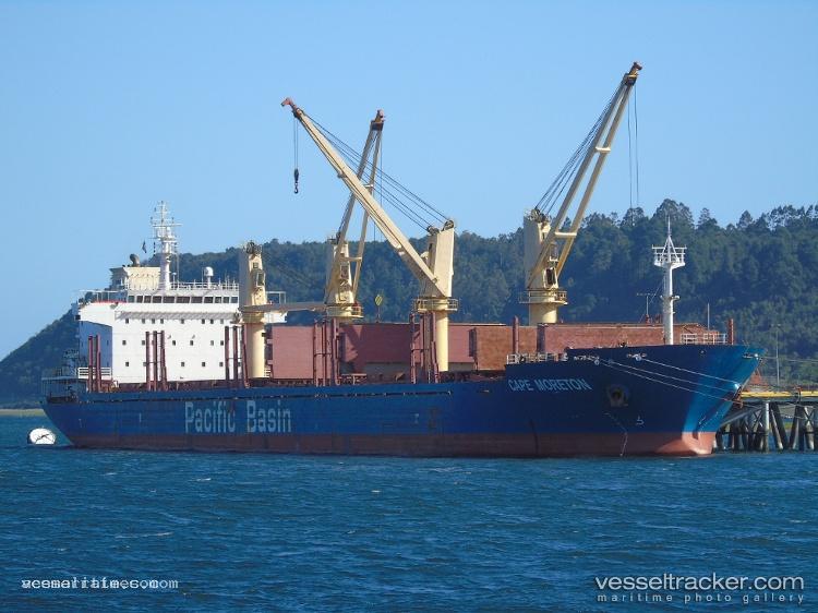 Loyalty-Hong - Bulk Carrier vessel registered in Panama