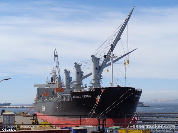 Avocet-Arrow - Bulk Carrier vessel registered in Bahamas