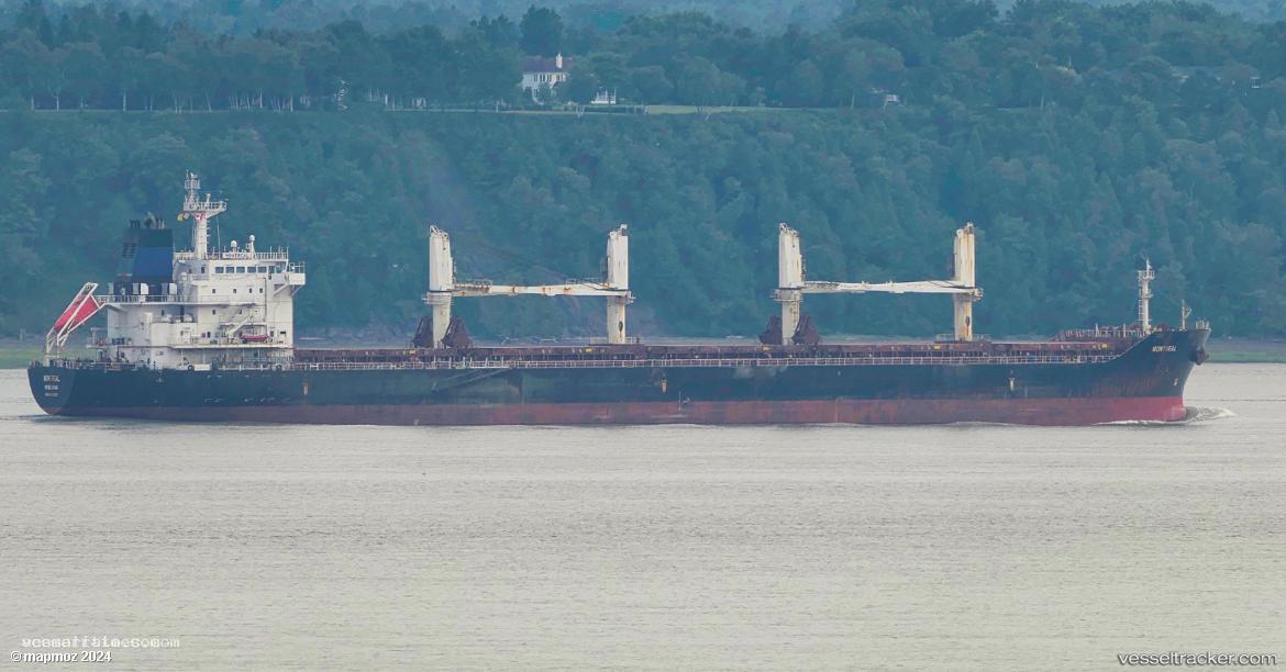 Orient-Pace - Bulk Carrier vessel registered in Liberia