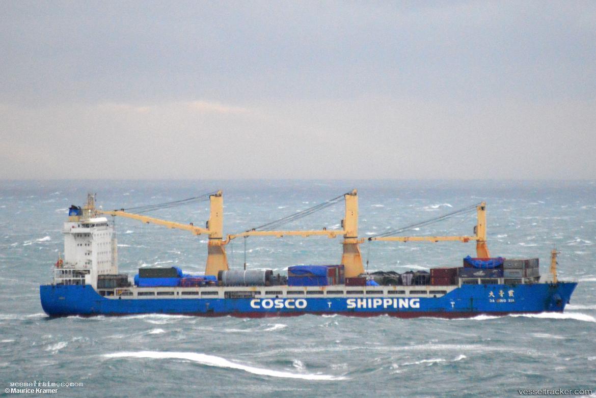 Da-Qing-Xia - Multi Purpose Carrier