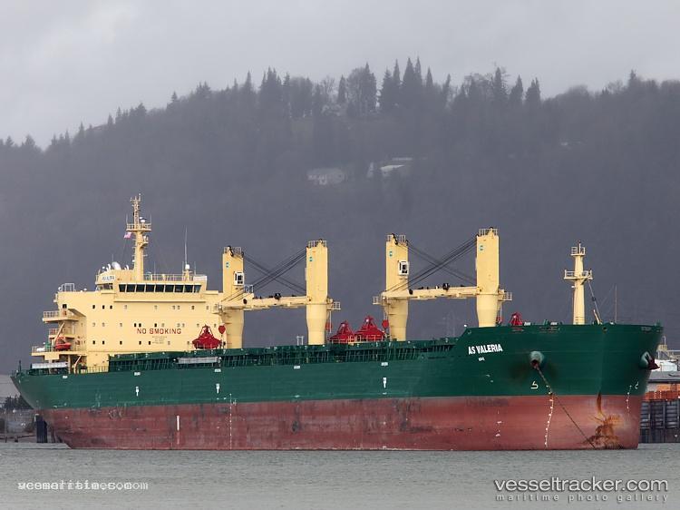 Ocean-Knight - Bulk Carrier vessel registered in Liberia