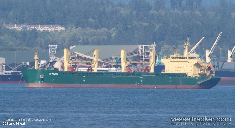 Xin-Hai-Tong-22 - Bulk Carrier vessel registered in Hong Kong