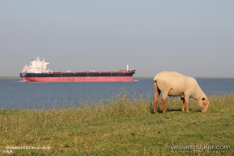 Saronic-Trader - Bulk Carrier vessel registered in Liberia