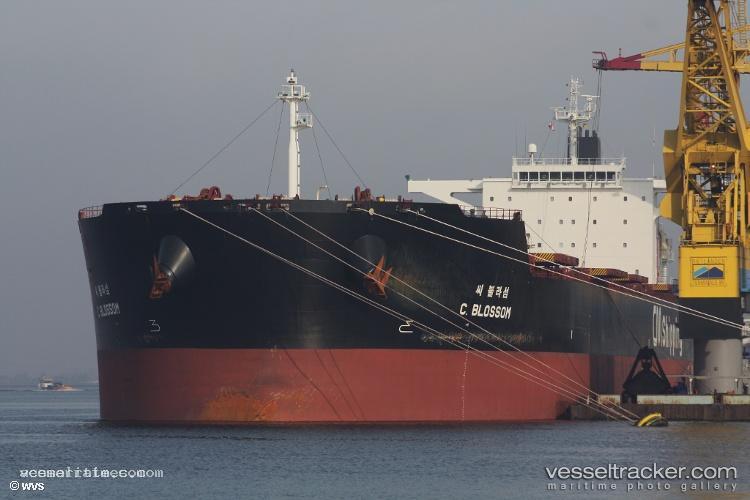 F.sun - Bulk Carrier vessel registered in Marshall Islands