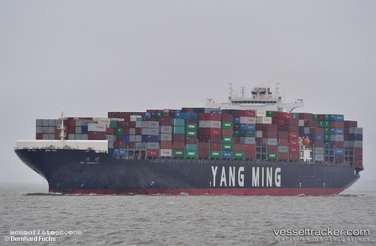 Ym-Ubiquity - Container Ship