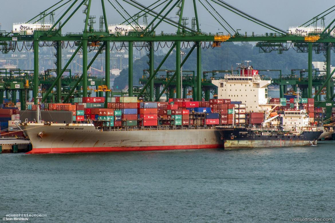 Msc-Houston-V - Container Ship vessel registered in Portugal