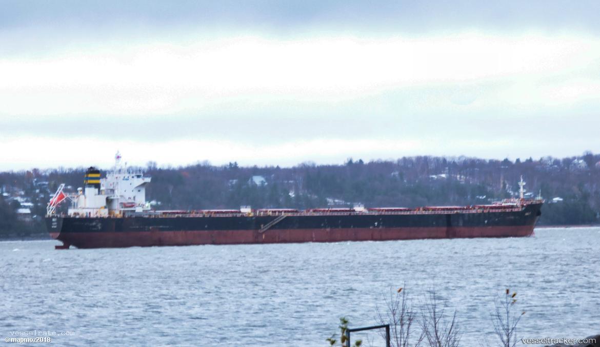 Amalfi - Bulk Carrier