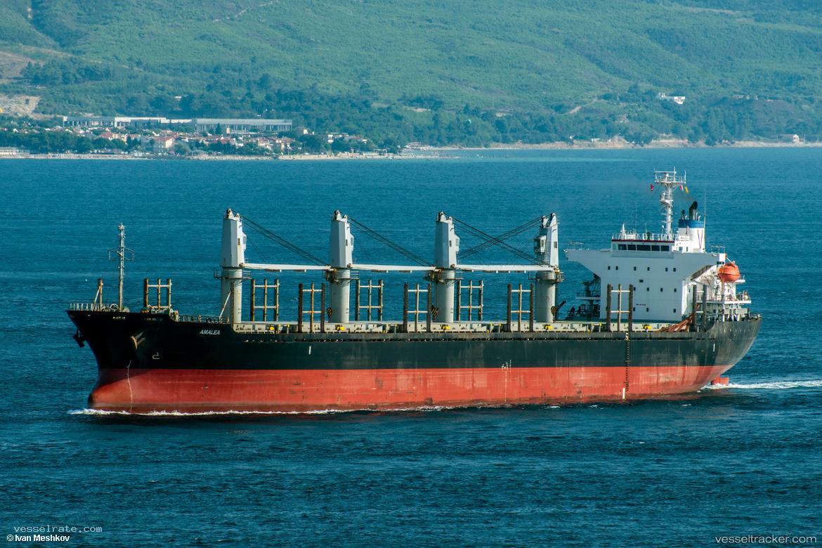 Amalea - Bulk Carrier