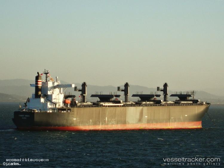 Forest-Venus - Wood Chips Carrier vessel registered in Marshall Islands