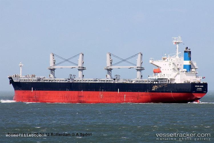 Grampus-Brave - Bulk Carrier vessel registered in Panama