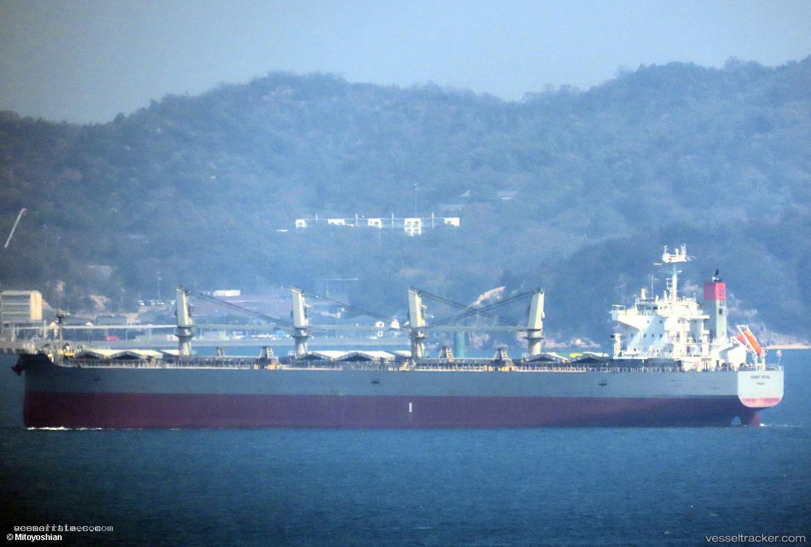 Sunny-Royal - Bulk Carrier vessel registered in Panama