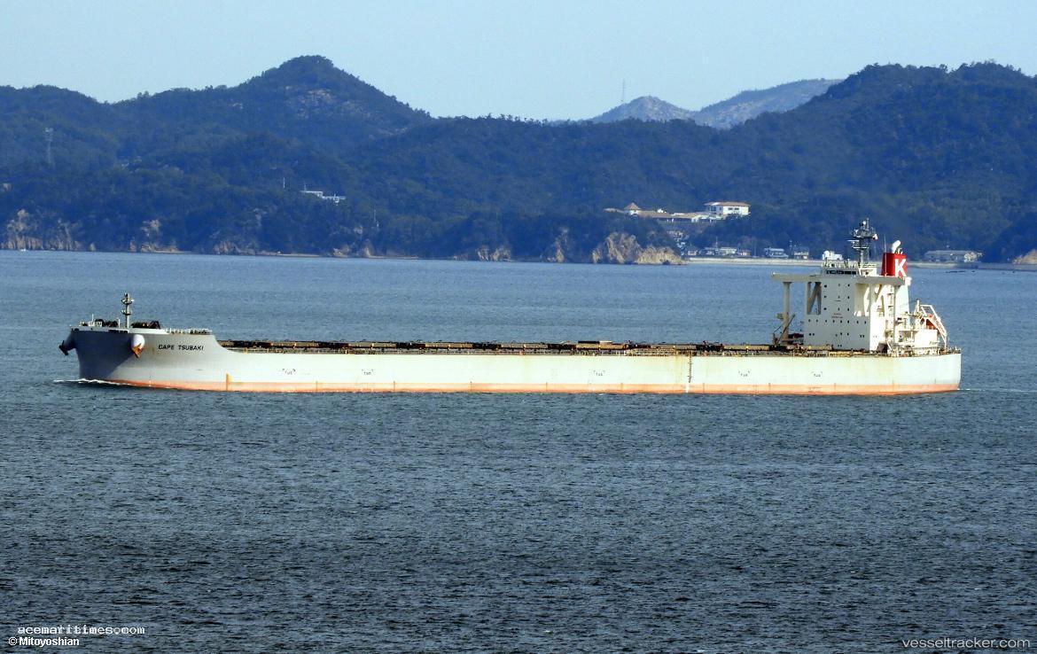 Cape-Tsubaki - Bulk Carrier vessel registered in Japan