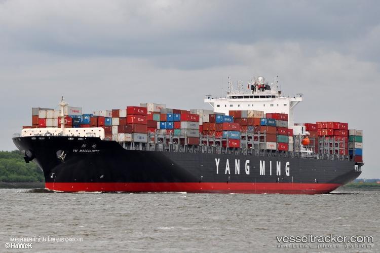 Ym-Masculinity - Container Ship vessel registered in Liberia