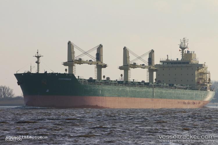 Safeen-Al-Amal - Bulk Carrier vessel registered in Marshall Islands