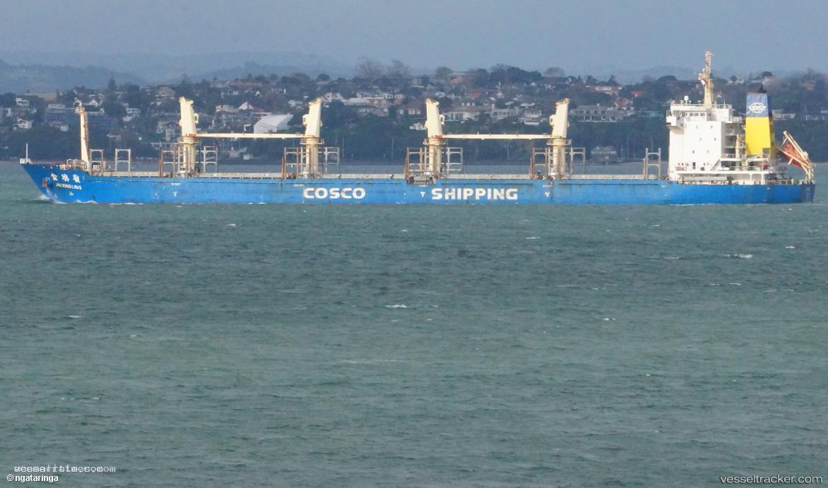 Jin-Xing-Ling - Wood Chips Carrier vessel registered in Hong Kong