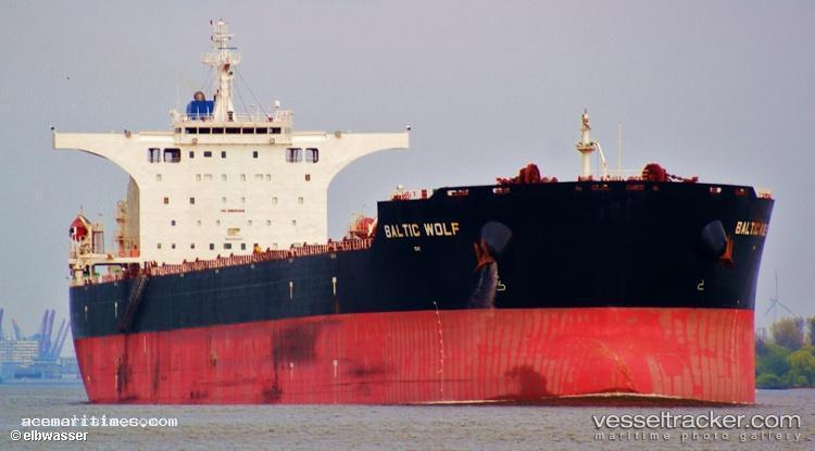 Baltic-Wolf - Bulk Carrier vessel registered in Marshall Islands