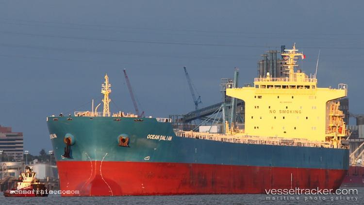 Ocean-Dalian - Bulk Carrier vessel registered in Hong Kong