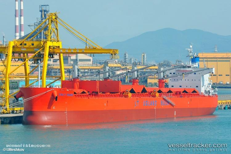 Viet-Thuan-56-03 - Bulk Carrier vessel registered in Vietnam